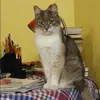 Отзыв от Любовь Малахова